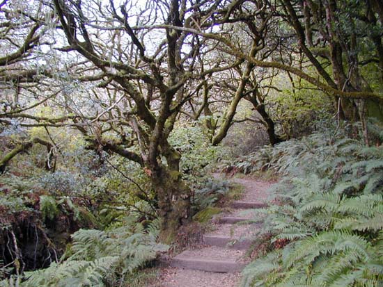 andthe annual dipsea famed